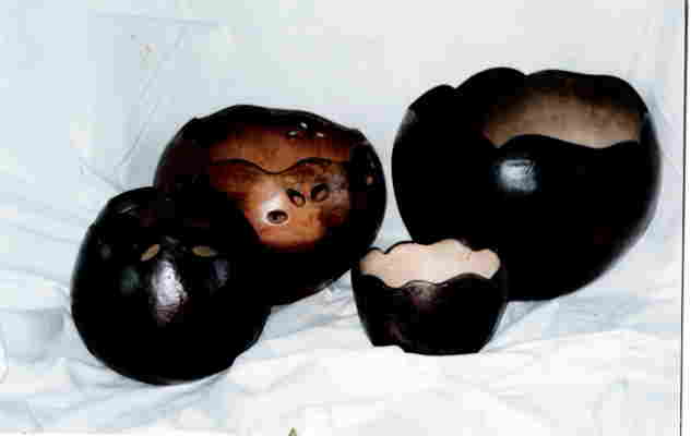 bowl00