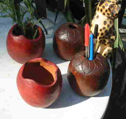pot1