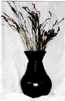 pot1