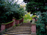 courtyard stairs