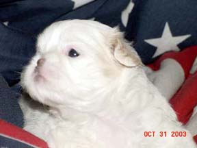 Click to see more of Beacon!