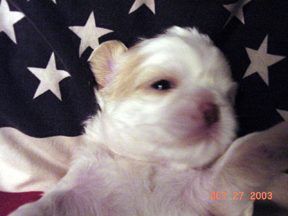 Click to see more of Star!