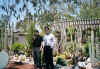 Cactuses - all kinds of them