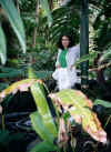 RainForest
