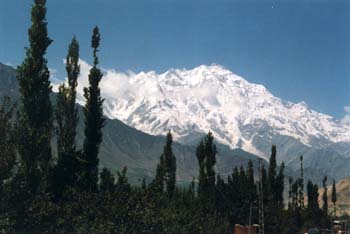 Tr20