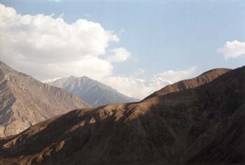Tr25