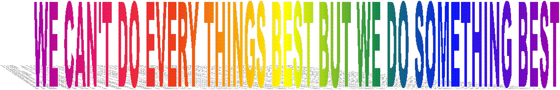 WE CAN'T DO EVERY THINGS BEST BUT WE DO SOMETHING BEST