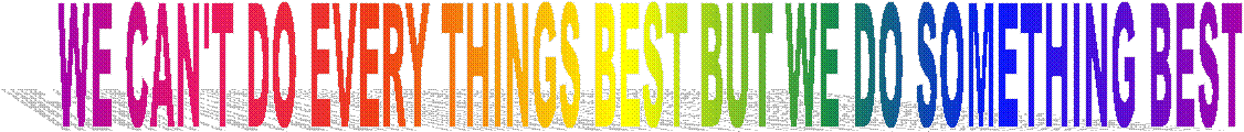 WE CAN'T DO EVERY THINGS BEST BUT WE DO SOMETHING BEST