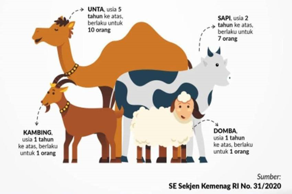 gambar3
