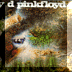 A Saucerful of Secrets