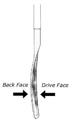 kayak-paddle1.gif (27058 bytes)