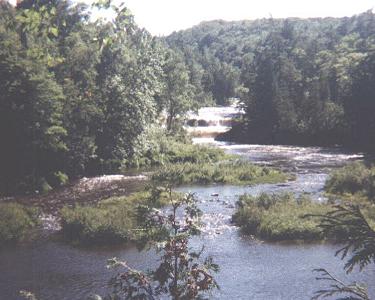 Lower falls