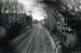 P_Tracks