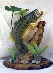 Large-Mouth Bass