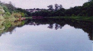 Parque Arthur Thomas