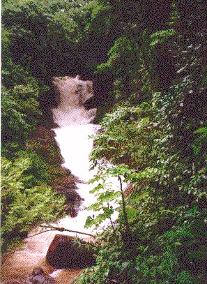Parque Arthur Thomas