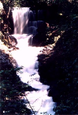 Parque Arthur Thomas