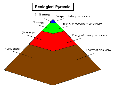 Pyramid Energy – PyramidEnergy