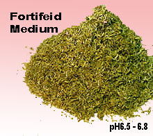 fortified_medium.jpg (10577 bytes)