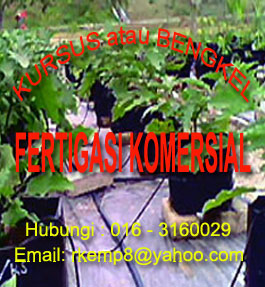 tag_fertigation_komersial.jpg (38438 bytes)