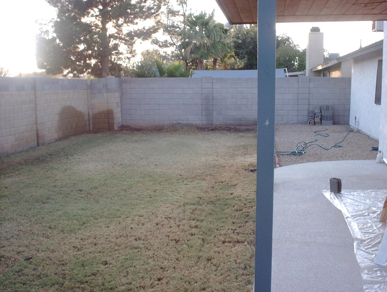 backyard