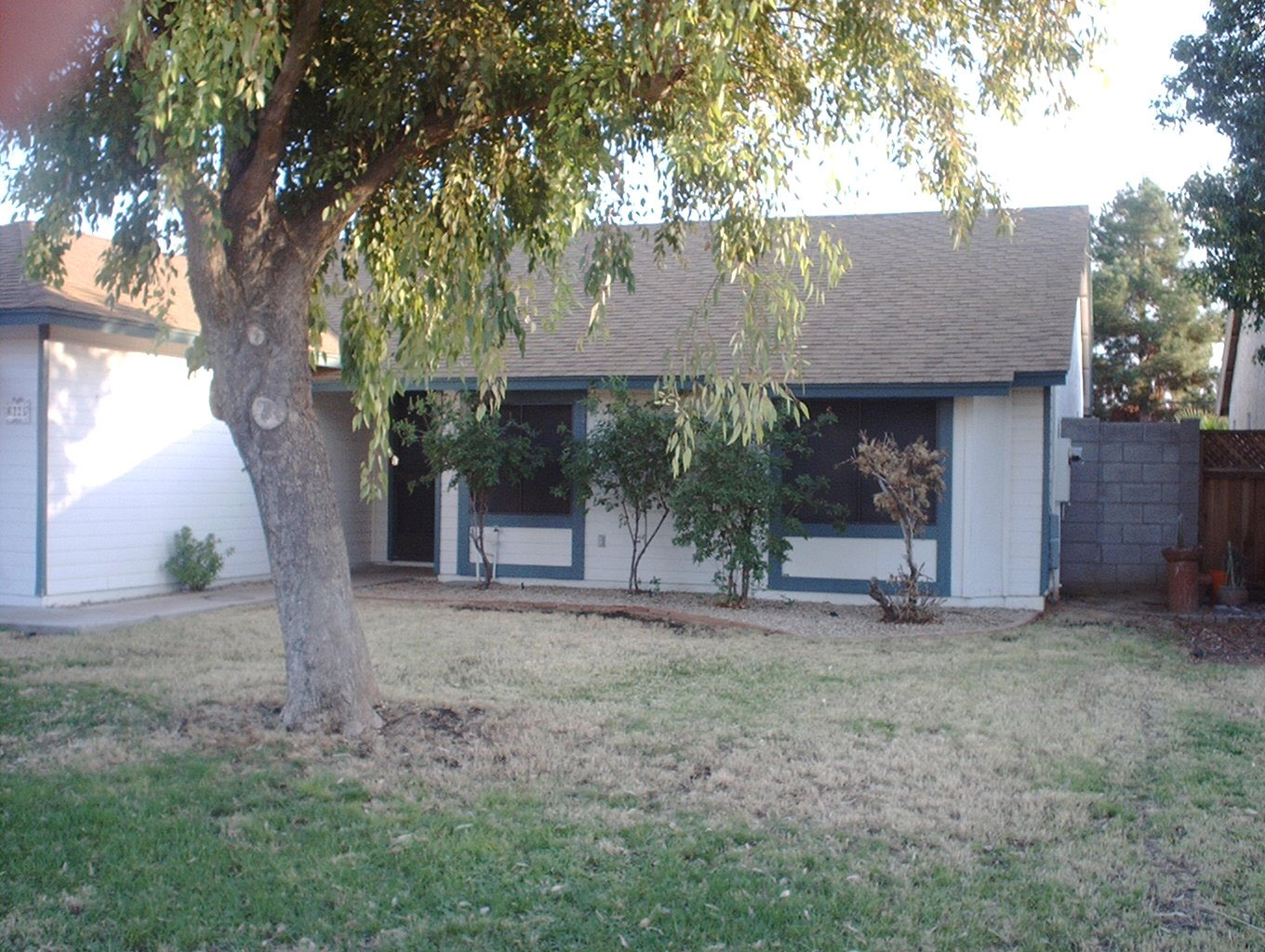 front yard