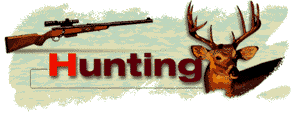 Hunting.gif