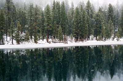 View of Emerald Bay Shoreline