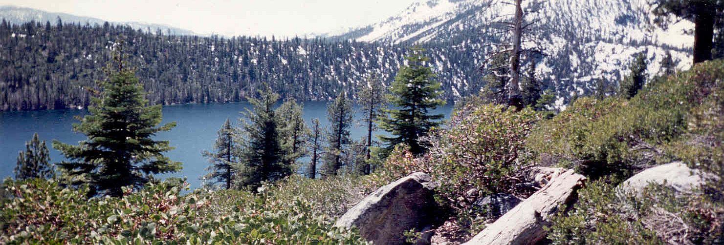 View Of Fallen Leaf Lake