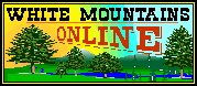 White Moutains Online