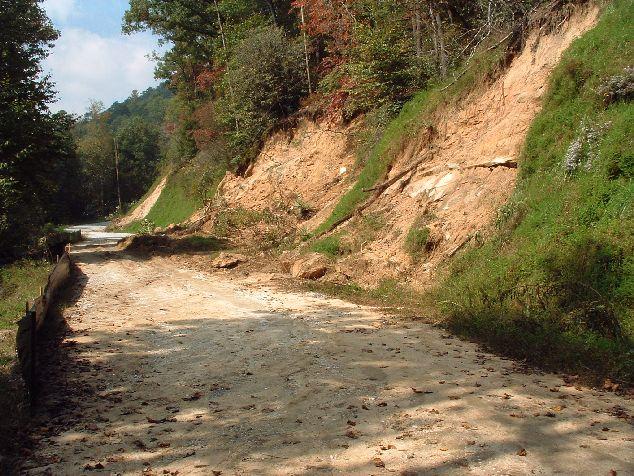Click for Ouachita National Forest Info