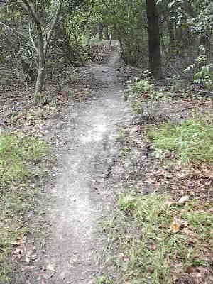 Typical Intermediate Trail