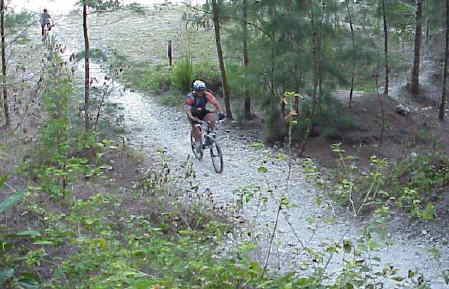 Typical Trail
