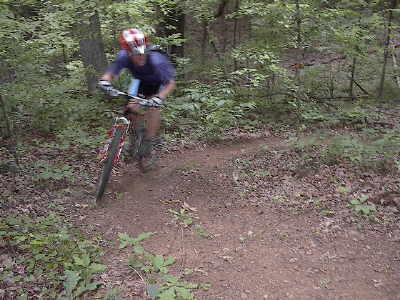 Fast curve in the woods.