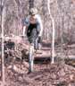Log Crossing