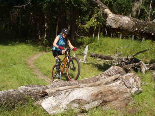 Cynthia crossing logs