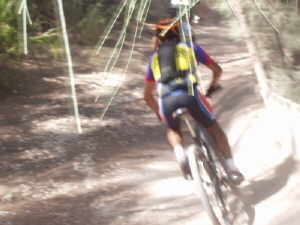 Web Author on Trail