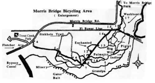 Morris Bridge Close-up