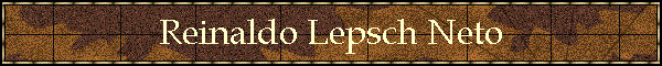 Reinaldo Lepsch Neto