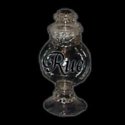Ruta graveolens: a sour-smelling periennial with rounded leaves, also called 'the herb of grace' because it was used as a holy water sprinkler. Used to treat venomous bites, and poor eyesight. Do not use internally!