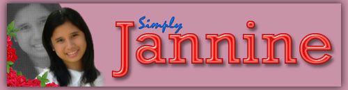 annin's banner
