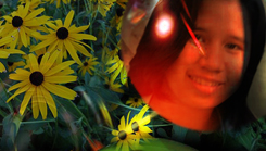 jannine