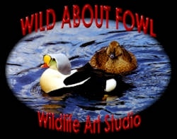 Quality taxidermy specializing in waterfowl and upland game birds.