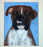 click here to go to my Portraits Gallery
