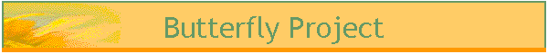 Butterfly Project
