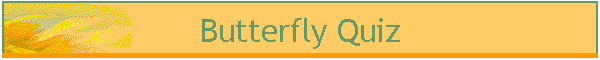 Butterfly Quiz