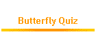 Butterfly Quiz