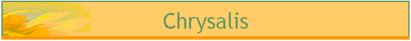 Chrysalis
