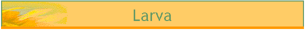 Larva