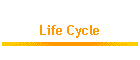 Life Cycle